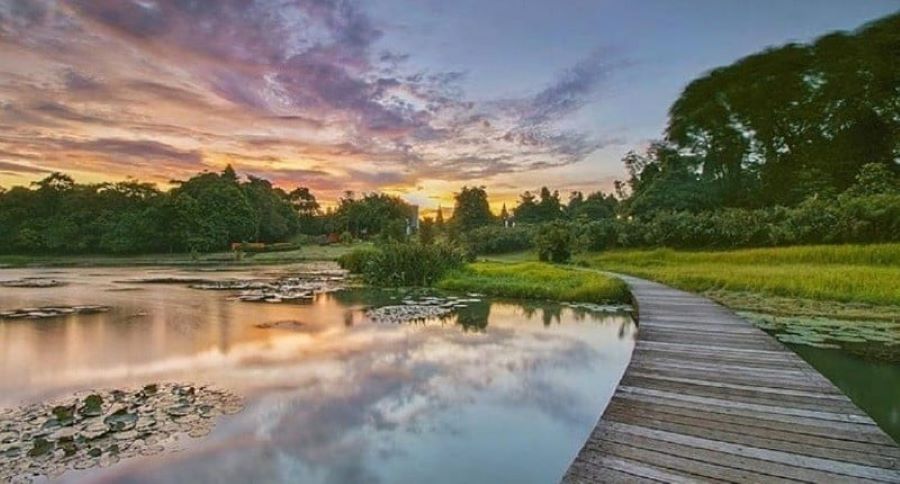 Kebun Raya Cibinong, Destinasi Wisata yang Menawarkan Pesona Alam Asri dan Indah